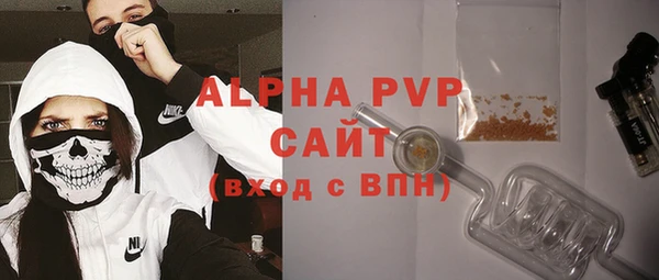 амф Ладушкин