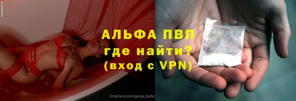 амф Ладушкин