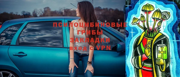 молекула духа Кулебаки