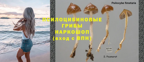 мдпв Краснотурьинск
